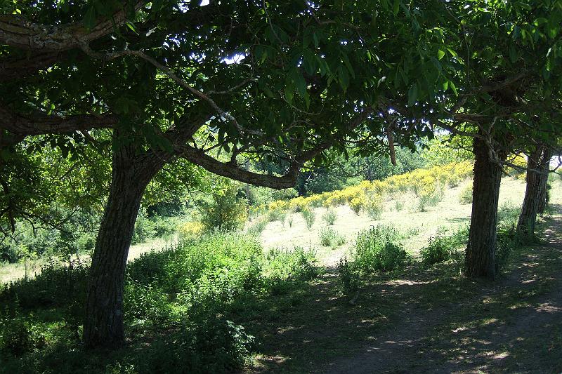 2011-05- (1526).JPG